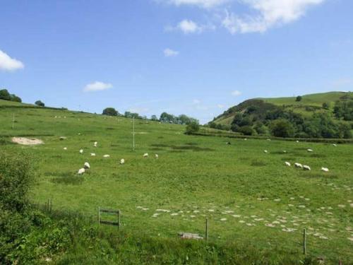 Cwmgilla Farm