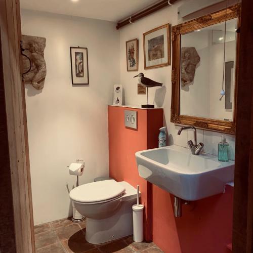 Llethrau Forest & Nature Retreats