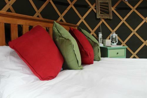 Llethrau Forest & Nature Retreats