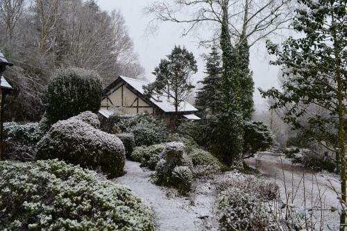 Llethrau Forest & Nature Retreats
