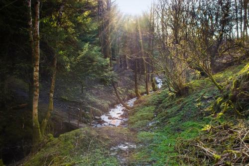 Llethrau Forest & Nature Retreats