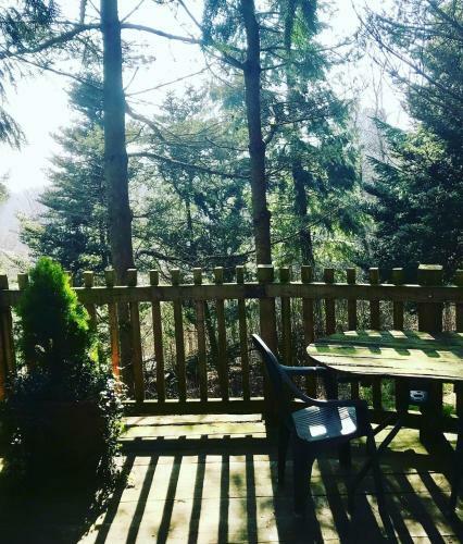 Llethrau Forest & Nature Retreats