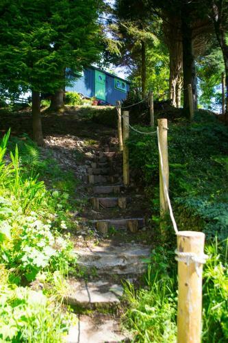 Llethrau Forest & Nature Retreats