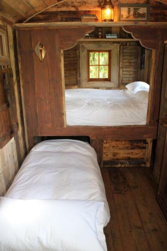 Llethrau Forest & Nature Retreats