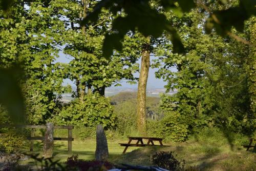 Pond Meadow At Trenannick Cottages