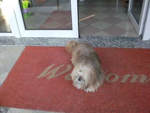 Hotel Storione