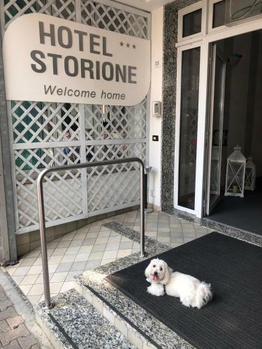 Hotel Storione