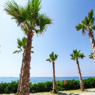 Lido San Giuseppe Hotel