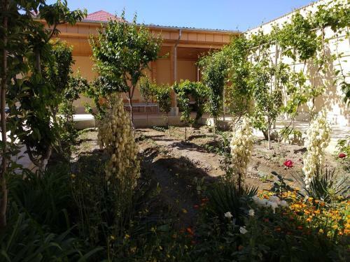 Hostal Hotel Apartments Silk Road
