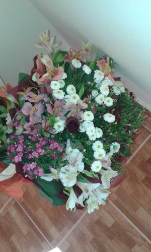 Bed & Breakfast Guest House Orzu