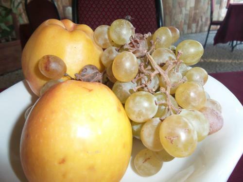 Hotel Gulmira And Ko On Reshetnikova 2 B