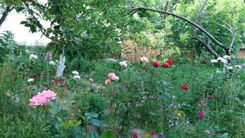 Hostal Antica B & B Samarkand