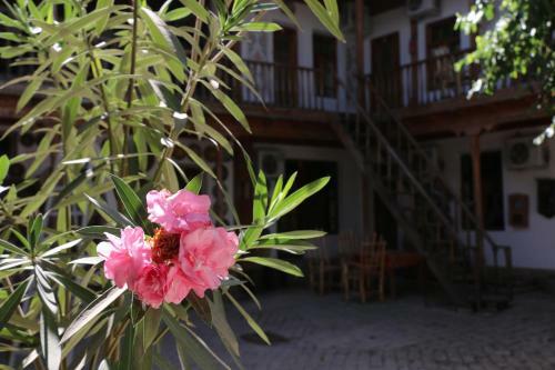 Hotel Legende