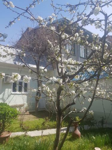 Bed & Breakfast Al Amin Guest House