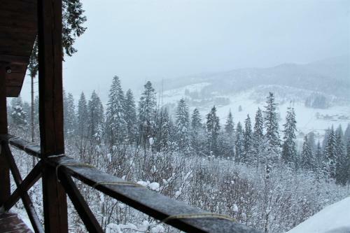 Lodge Szlachta Cottage