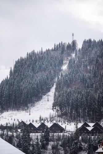 Hostal Guest House Vershina Bukovelyu