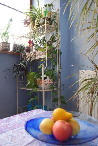 Room In Three Bedroom Flat