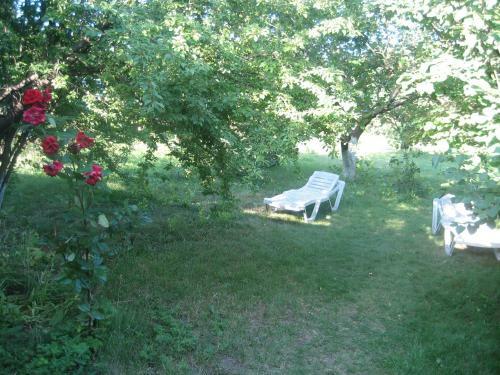 Hostal Sea Side House