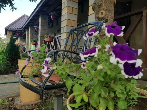 Hostal Svitoch