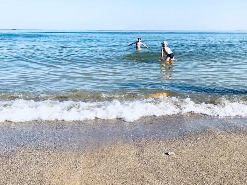 Hostal Guest House Exotic