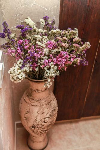 Hostal Guest House Exotic