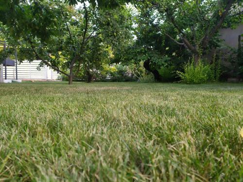 Apartamento Light House