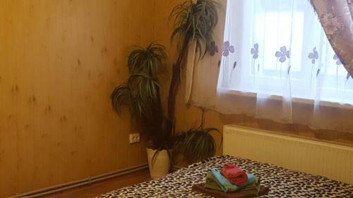 Fontanka-1, Ul. Pobedy