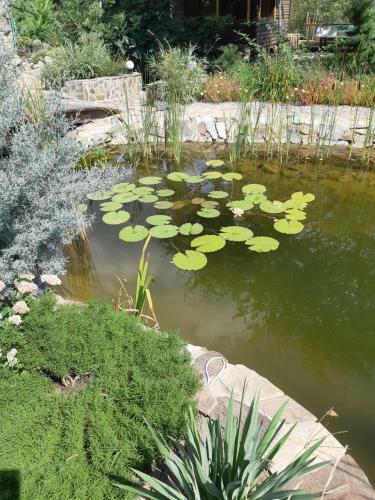 Apartment Sea Breeze