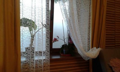 Apartamento ???????????-??????