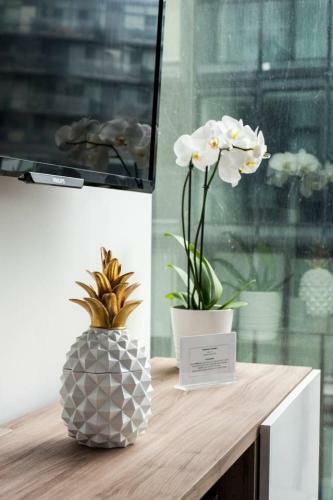 Apartamento Stunning 1br Condo In Popular King West