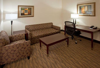 Holiday Inn Express Hotel & Suites Austin South-buda