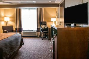 Hotel Comfort Inn Battle Creek