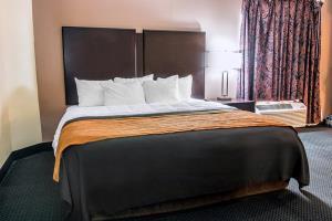 Hotel Comfort Inn Battle Creek