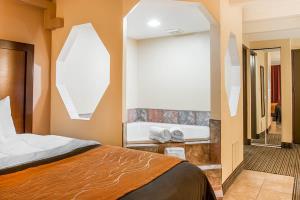 Hotel Comfort Inn Battle Creek