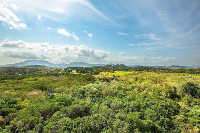 Hotel The Westin Playa Bonita