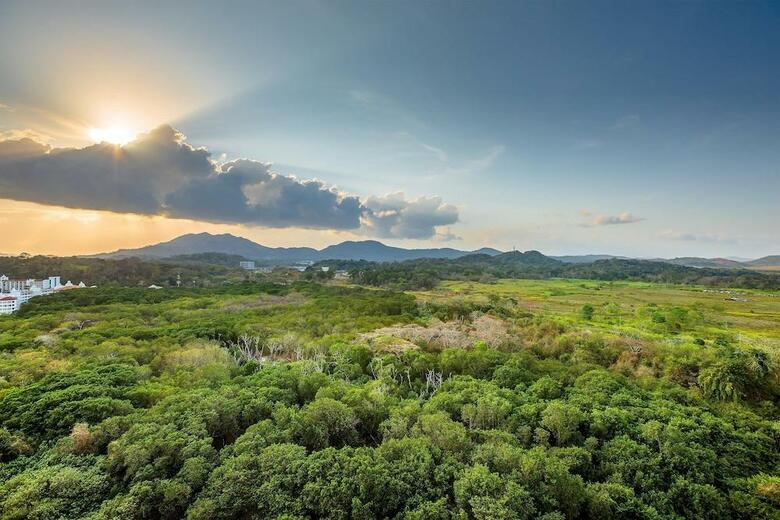 Hotel The Westin Playa Bonita