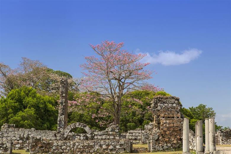 Hotel The Westin Playa Bonita