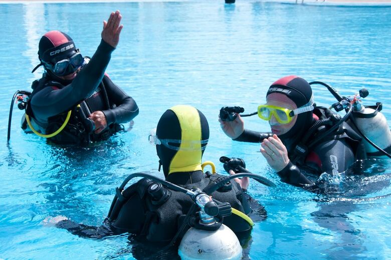 Hotel Melia Tortuga Beach Resort