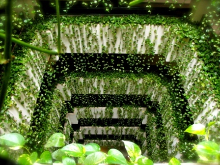 Hotel Toborochi Suites