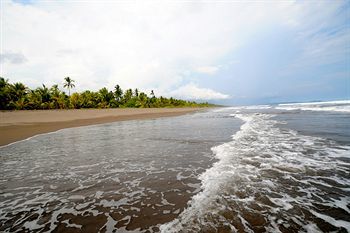 Cocomar Residences And Beachfront Hotel