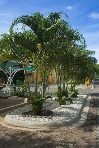 Hotel The Oaks Tamarindo Condominiums