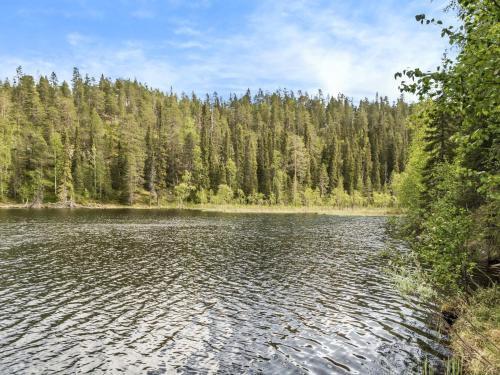 Holiday Home Rukansyli 7