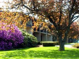 Hotel Best Western Plus Rio Grande Inn