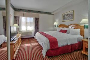 Hotel Best Western Plus Executive Suites
