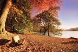 Best Western Hotel St Pierre