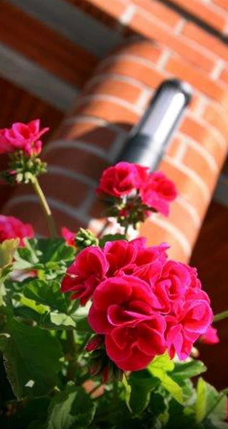 Best Western Hotel Vallonia