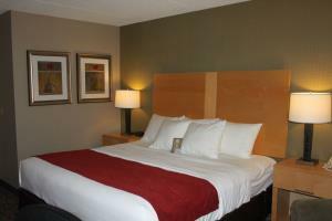 Hotel Comfort Inn Fairgrounds