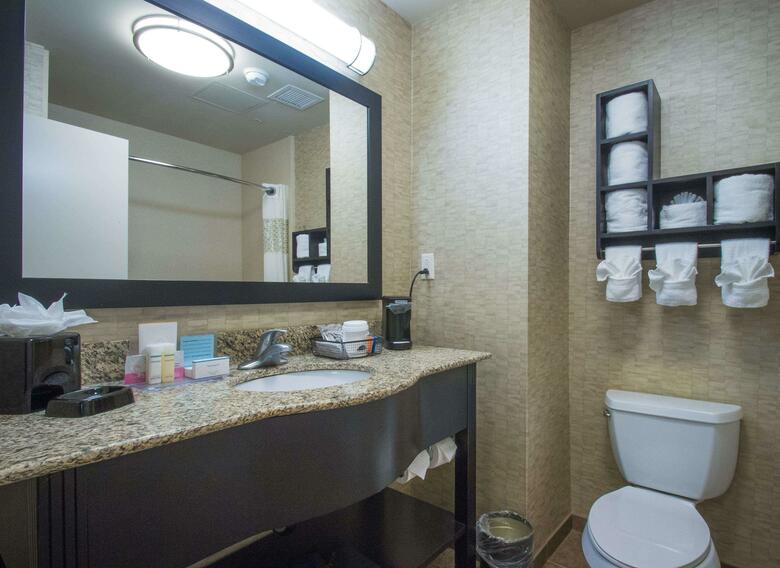 Hotel Hampton Inn Greenville