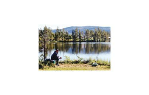 Four-bedroom Apartment In Klovsjo