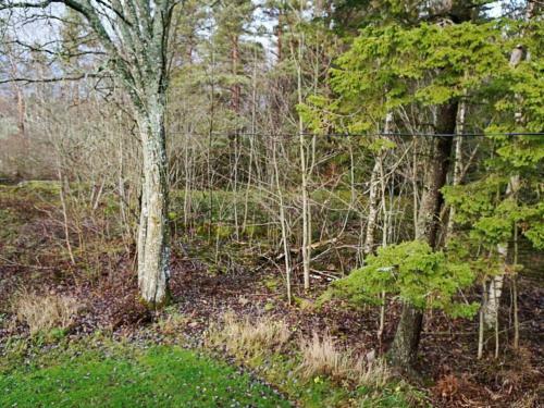 Holiday Home Mellerud